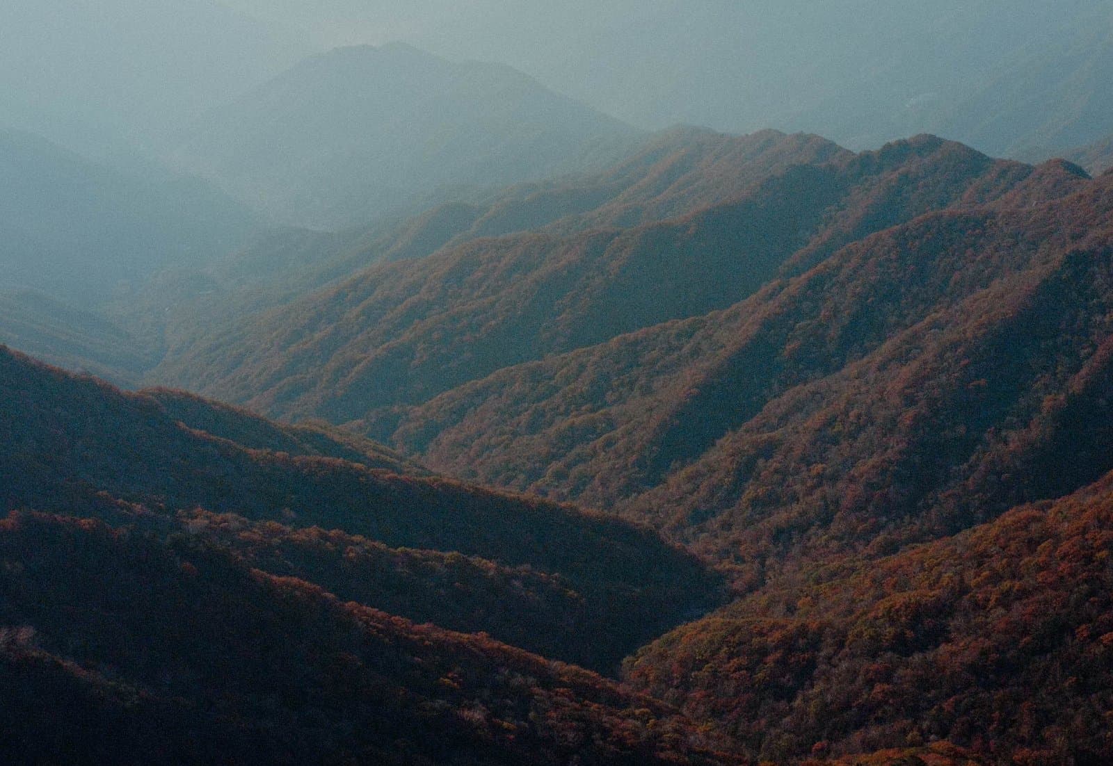 단풍 든 지리산 능선이 겹겹이 펼쳐진 모습